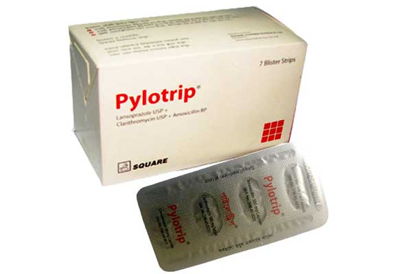 Pylotrip_l3_1